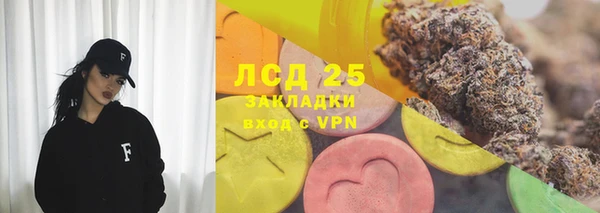 стафф Бородино