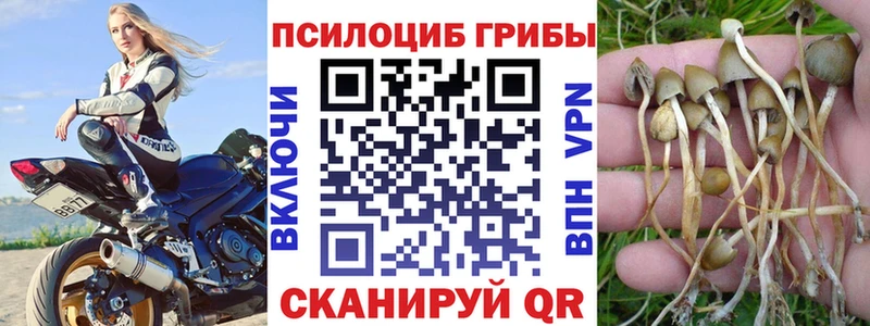 сайты даркнета Telegram  KRAKEN ссылки  Буинск  Псилоцибиновые грибы MAGIC MUSHROOMS 